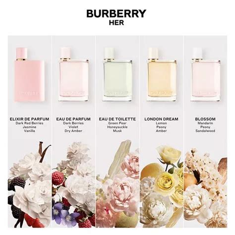 burberry prorsum mens sizing|burberry her fragrance.